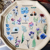 Judys new manual vintage handbill material TN light retro watercolor plant 58 pieces 20305