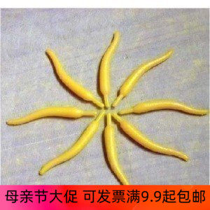 Simulated flower core of the horseshoe core Flash Core - DIY filament material silk - socking flower flower hand