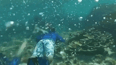 人造 Ldquo 魚鰓 Rdquo 即將發布 水下也能正常呼吸 淘寶海外 人造 Ldquo 魚鰓 Rdquo 即將發布 水下也能正常呼吸 淘寶海外