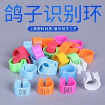 Pigeon carrier pigeon supplies pigeon ring plastic digital opening identification ring snap ring foot ring mark pigeon ring