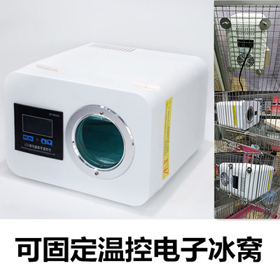 Dragon Cat Electronic Ice Nest Ice Box Cooling Mini air conditioning Energy saving Anti-biting line hamster Rabbit summer heat stroke heat dissipation