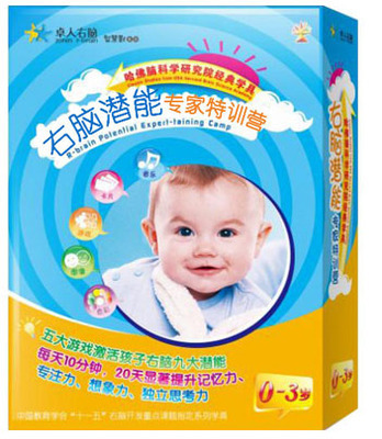 Zhuo Human Potential Human Right Brain Potential Pawn Early Education Expert Special Training Camp 0-3 Year Old Puzzle Building Blocks Game Toys