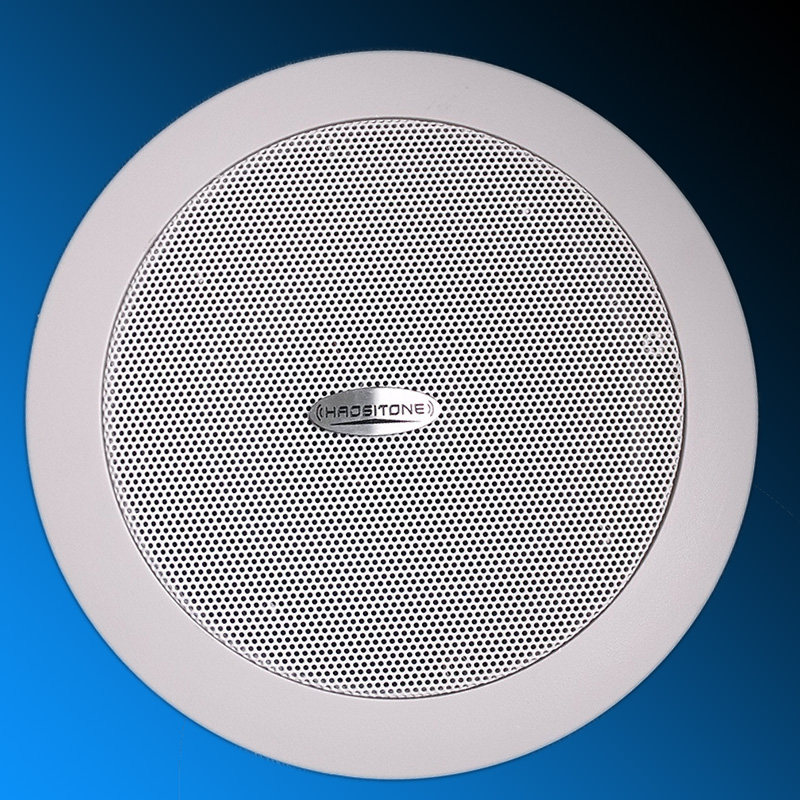 Radio background Music High fidelity 20W with treble coaxial suction top horn HSP-511T smallpox horn