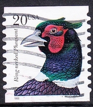United States Letter Sales Stamp 1998 Animals and Plants Ring-necked Pheasant (no teeth on top and bottom)