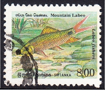 Sri Lanka Letter Sales Stamps 1990 Endemic Fishes 4-3