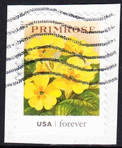 American Letdown Stamps Cut 2013 The old-fashioned flower seed pack 10-10: report the spring flowers