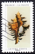 French Letter Marketing Stamps 2020 Cabinet of Curiosities Museum 12-8: Shells
