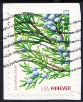 U.S. Letter Sales Stamps 2010 Holiday Green Trees 4-2: Eastern Redwoods