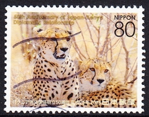 Japan Letter Marketing Stamp 2013 50th Anniversary of Japan-Kenya Diplomatic Relations 5-2: Cheetah