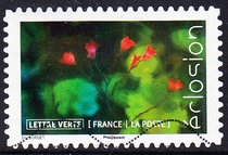French letter marketing stamps 2019 Blooming flowers 12-7