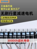 Бесколлекторный планетарный мотор с шестернями, электрическая пони, 12v, 24v