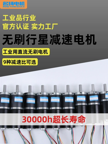 Бесколлекторный планетарный мотор с шестернями, электрическая пони, 12v, 24v