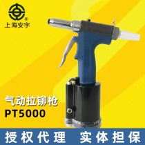 Shanghai Anz brand pneumatic riveting gun riveting gun core riveting tool PT5000