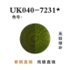 UK040-7231*