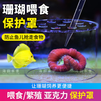 Coral feeder circle breeding protective cover acrylic cover feeding brain firecrackers Frisbee anti-fish and shrimp grabbing