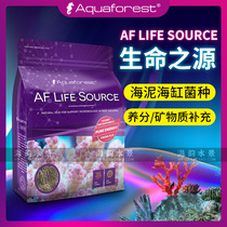 Aquaforest Purple Forest Sea Tank Source of Life Seaweed Mud Seawater Microbial Mineral Supplement