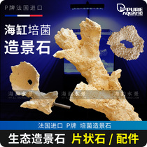 P brand landscape stone stone accessories ecological cultivation stone seawater fish tank landscape stone shape