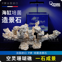 P brand landscaping stone ecological cultivation bacteria landscaping stone seawater fish tank landscaping stone small tank landscaping free explosion algae