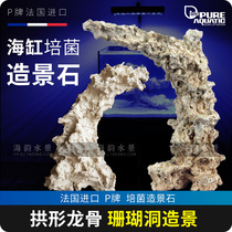 P brand landscape stone arched keel keel landscaping stone ecological cultivation 2028 seawater fish tank landscaping stone 9044