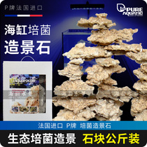P brand landscape stone ecological cultivation fungus landscape stone 10kg 34kg 45 60 sea water fish tank block landscape Stone