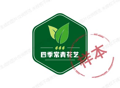 焰火芙蓉花艺批发