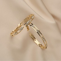 Hong Kong (designer) RVY 2021 New Tide big ring earrings female summer high-grade earrings simple