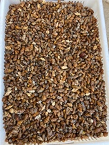 Paleontology agate snail fossil Devonian gastropod shell fossil specimen collection rare stone 220 yuan per kilogram