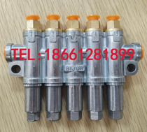 Nanjing BIJUR 41823 positive displacement XJM quantitative oil injector Quantitative oil drain distributor