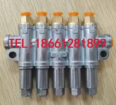 Nanjing Beqier BIJUR volumetric XJM quantitative oil drain distributor 41823