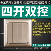 Golden Four Kaishi Dual Control