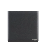 Шнайдер -переключатель, серия Jane Platinum Series All -МАТАЛЬНАЯ ГОТА ПАНЕЛА ПОРЯДОСТИ ДОМАНИЕ С одной открытой пятью -отверстие 86