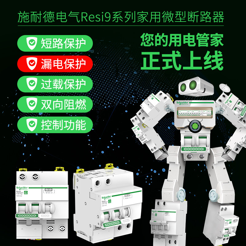 Schneider Schneider Air Switch R9 Breaker General Switch Electric Gate 16A-63A With Earth Leakage Protector