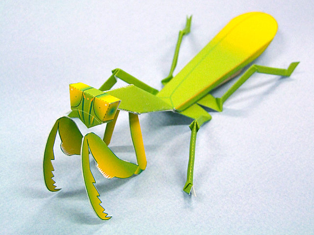 Simulation Insect Mantis Mantis Knife Mantis Knife Mantis 3D Solid Paper Model DIY Handmade Children Origami Puzzle Toy Doll-Taobao