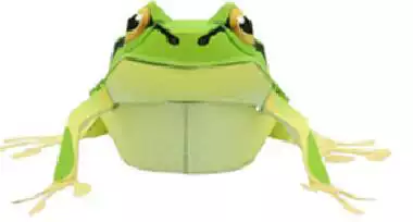 纸模制作册diy手工作业益智玩具仿真树蛙林蛙青蛙3d立体纸模型