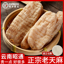 Old Gastrodia elata wild special grade Yunnan Zhaotong small Gastrodia elata powder Chinese medicinal materials dried Gastrodia elata slices official flagship store