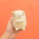 Обычная кошка