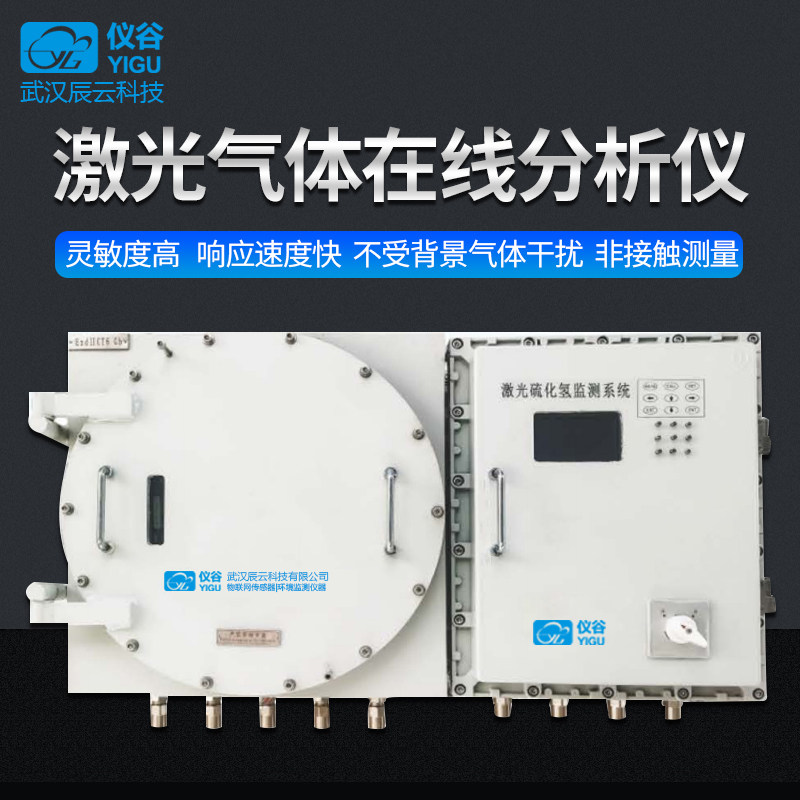 Hydrogen Sulfide Online Gas Analyser Gas Pipe Detector Incineration Flue Gas Hydrogen Sulfide Monitoring Explosion Protection