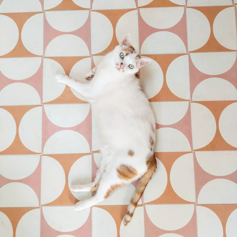 Absolute poverty wind retro small flower brick 200 kitchen balcony two-color semicircle tile powder room bathroom non-slip wall and floor tiles