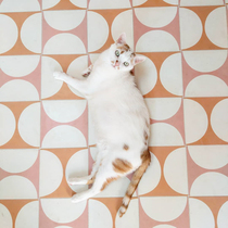 Extreme Destitute Wind Retro Small Flower Brick 200 Kitchen Balcony Bicolor Semicircle Tile Toilet Bathroom Anti Slip Wall Tiles