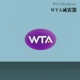 WTA Purple Shock Absorption