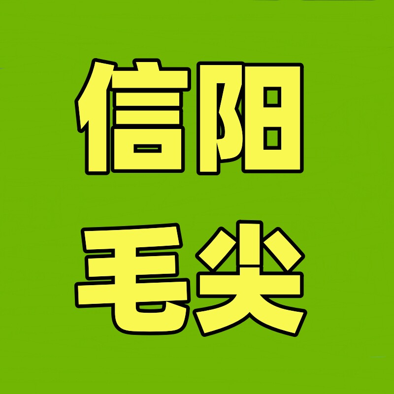 芸桦信阳毛尖 茶场直发