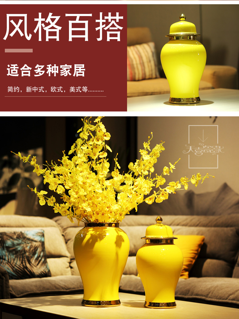 Jingdezhen creative the general pot of furnishing articles of modern new Chinese style porch ark, dried flower vase decoration home decoration