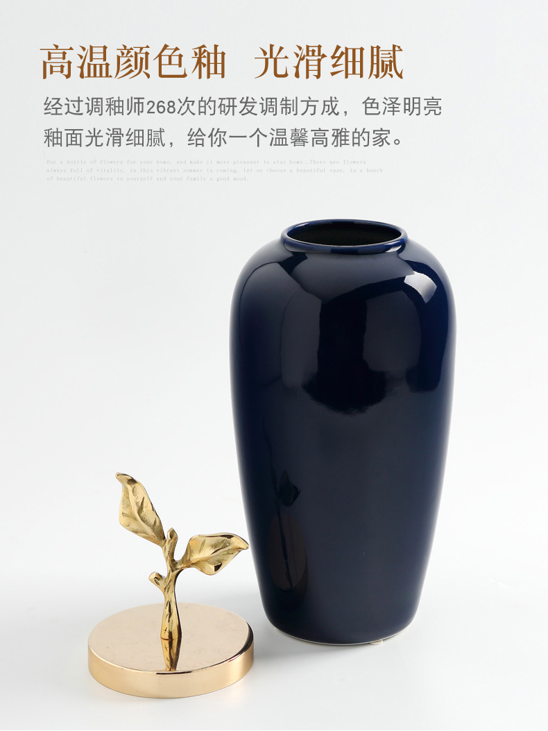 JingDeXin town of Chinese ceramic vase wine TV ark, place of the sitting room, dining - room flower arranging porcelain home decoration