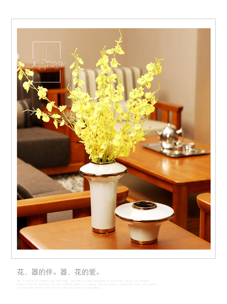 Modern light key-2 luxury ceramic vase decoration furnishing articles American TV ark, sitting room porch dry flower, creative household act the role ofing is tasted