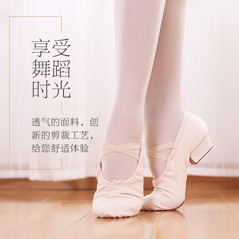 Practice shoes and dance shoes and soft soles with children teachers and girls adult national dance ballet yoga