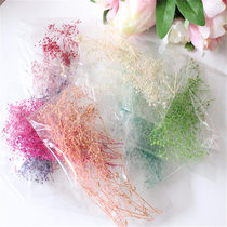 diy starry flower lover grass air-dried immortal wreath decoration material diy immortal dried flower handmade material