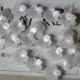 10 жемчужных белых