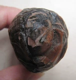 Странная рыба Шанзи-Гоби Камень Гоби нефритовая пустыня Ала Сала Агат (просмотр камня)