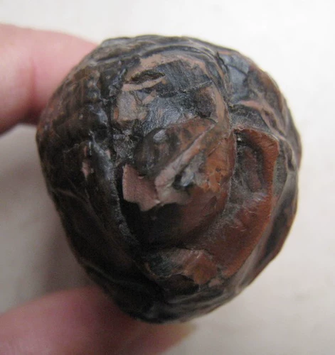 Странная рыба Шанзи-Гоби Камень Гоби нефритовая пустыня Ала Сала Агат (просмотр камня)