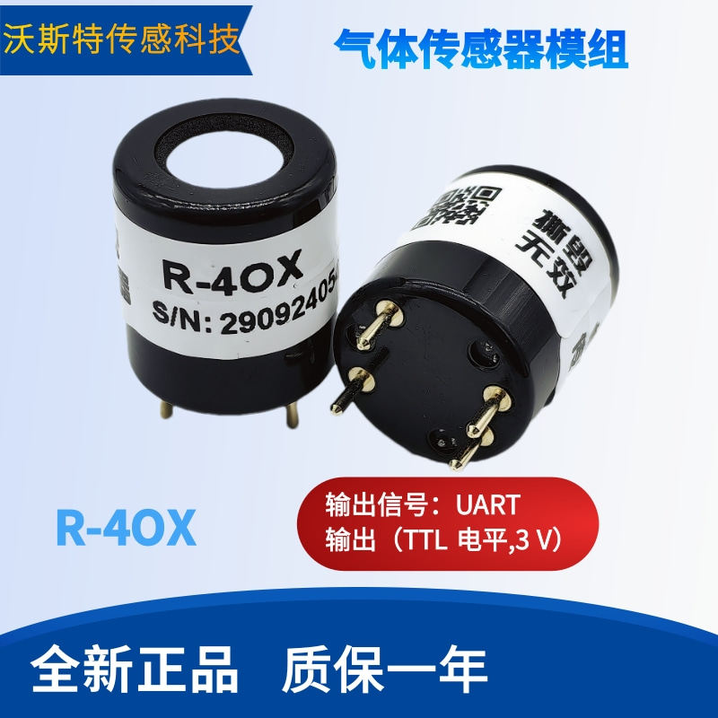 R-4OX氧气EX-100%LEL可燃气体传感器硫化氢H2S一氧化碳CO氨气NH3